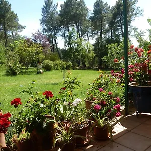 Domaine Du Planas - Patio Vakantiehuis